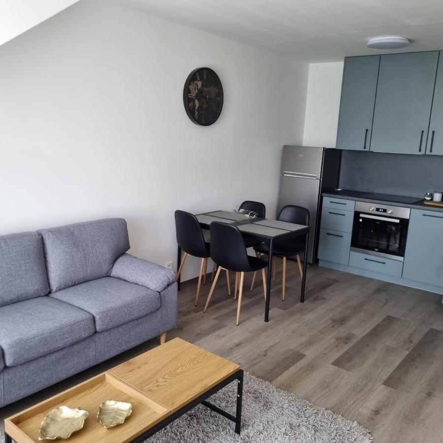 Cerna Ruze- Apartman 5 Пилзен Екстериор снимка