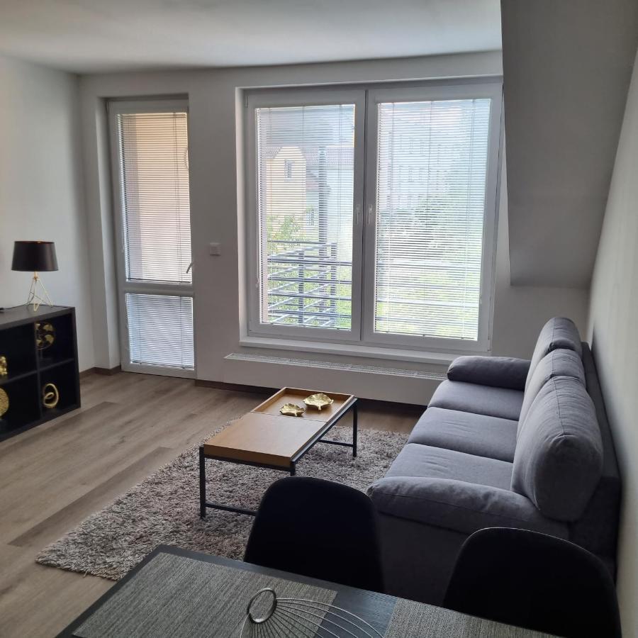 Cerna Ruze- Apartman 5 Пилзен Екстериор снимка