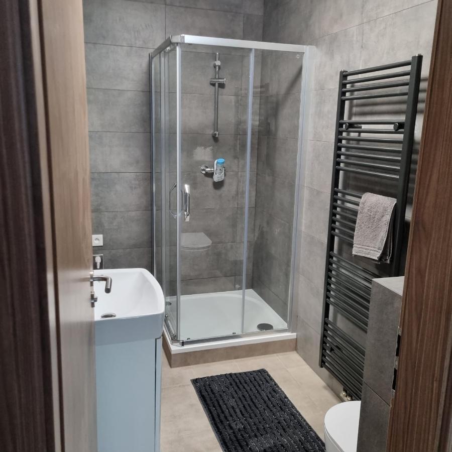 Cerna Ruze- Apartman 5 Пилзен Екстериор снимка