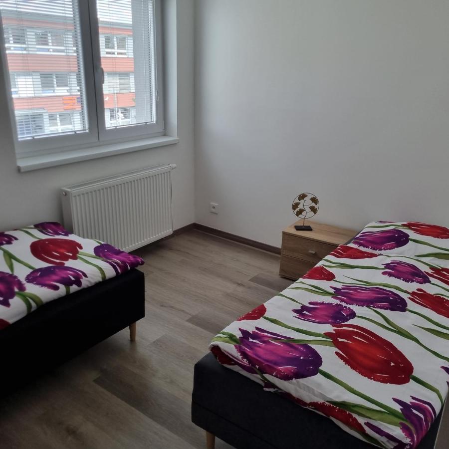 Cerna Ruze- Apartman 5 Пилзен Екстериор снимка