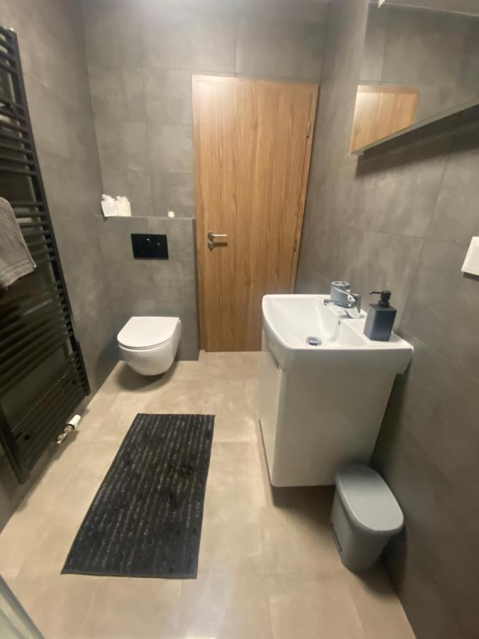 Cerna Ruze- Apartman 5 Пилзен Екстериор снимка