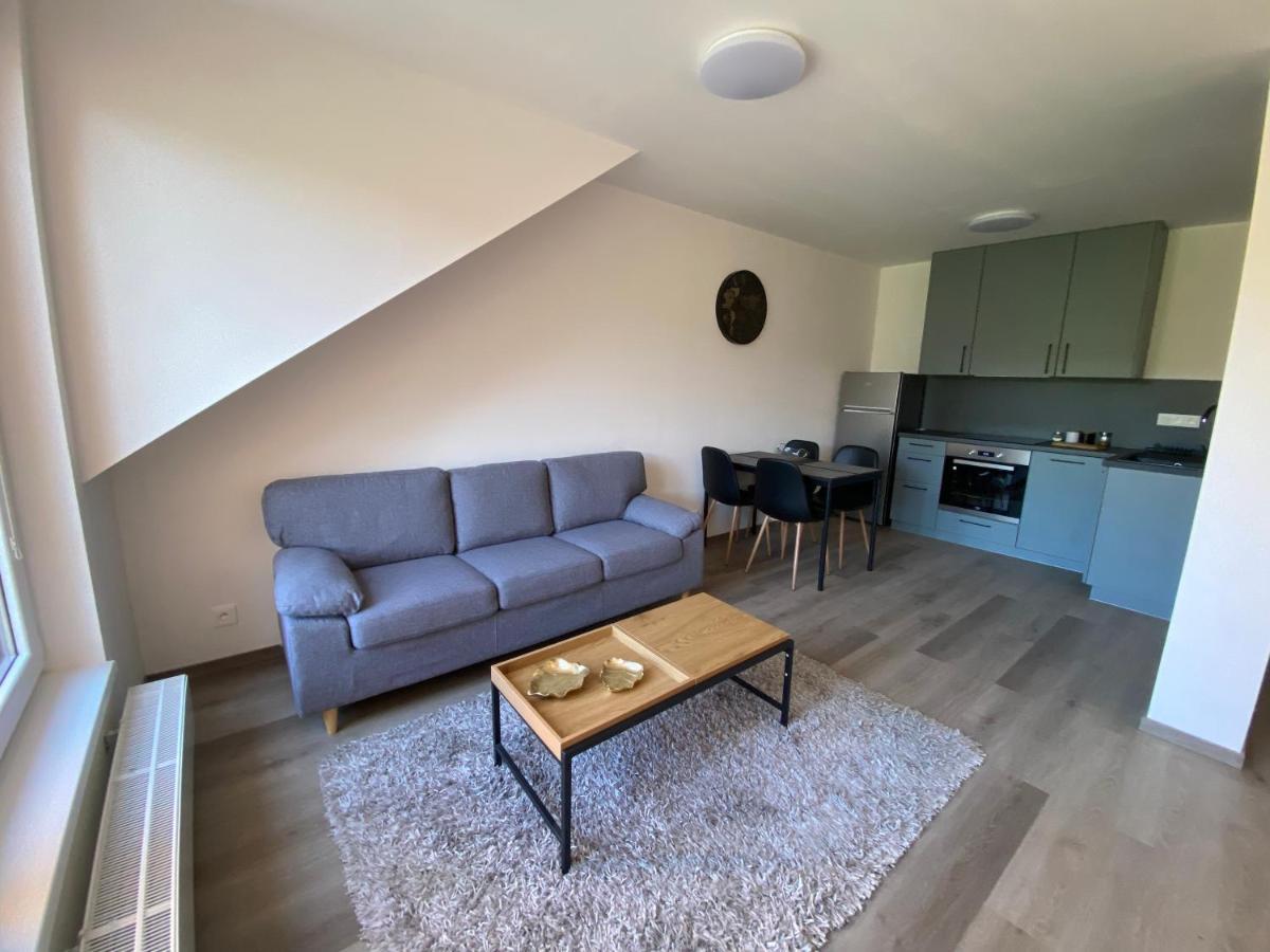 Cerna Ruze- Apartman 5 Пилзен Екстериор снимка