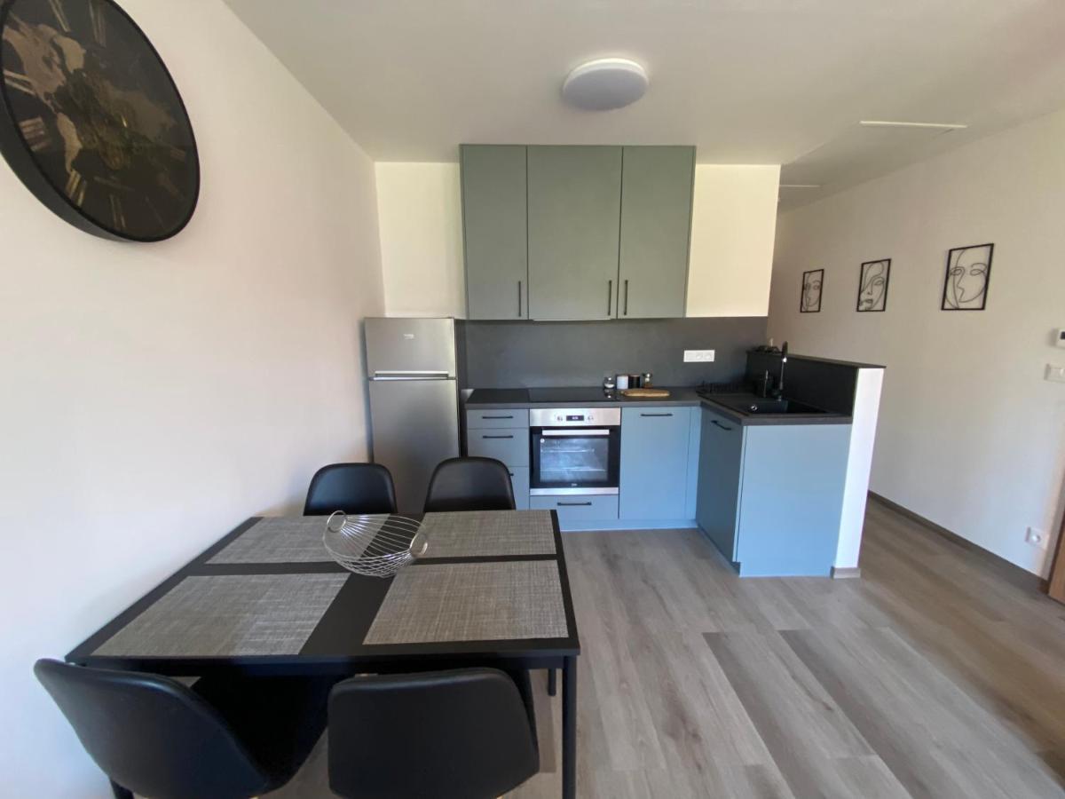 Cerna Ruze- Apartman 5 Пилзен Екстериор снимка