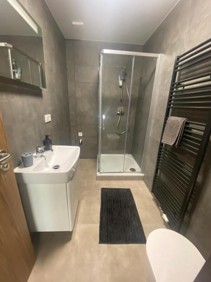 Cerna Ruze- Apartman 5 Пилзен Екстериор снимка