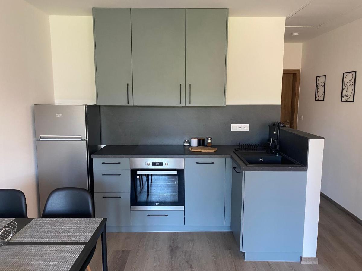 Cerna Ruze- Apartman 5 Пилзен Екстериор снимка