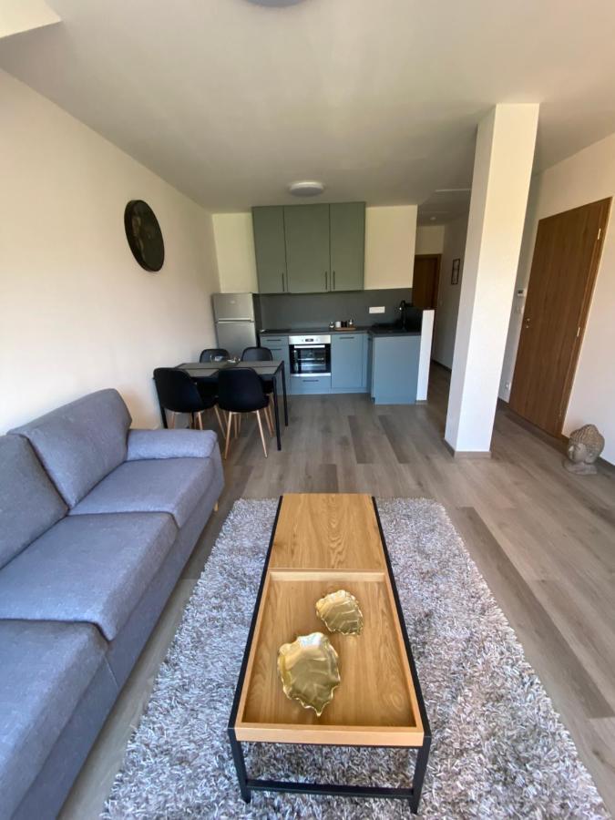 Cerna Ruze- Apartman 5 Пилзен Екстериор снимка