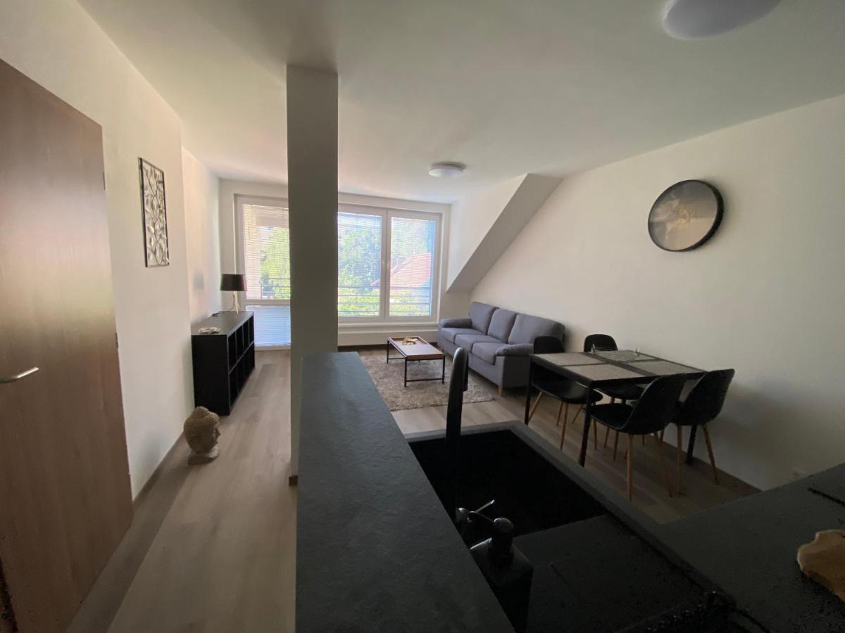 Cerna Ruze- Apartman 5 Пилзен Екстериор снимка